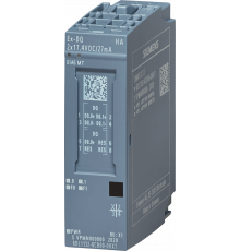 6DL1132-6CB00-0HX1